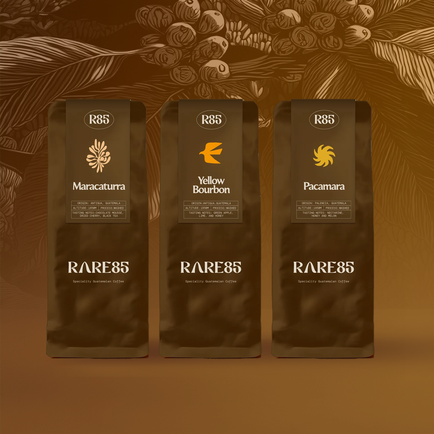 Rare Collection – RARE85