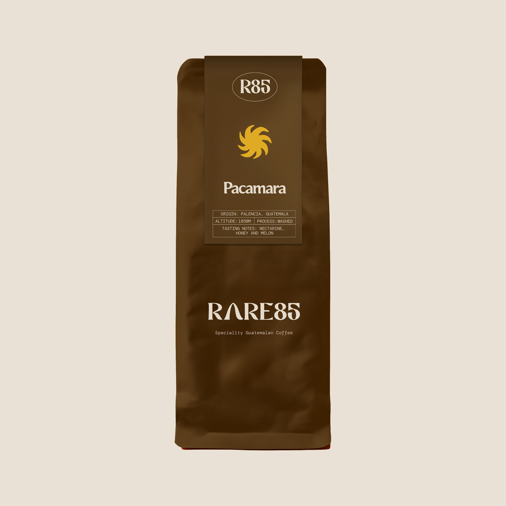 Pacamara