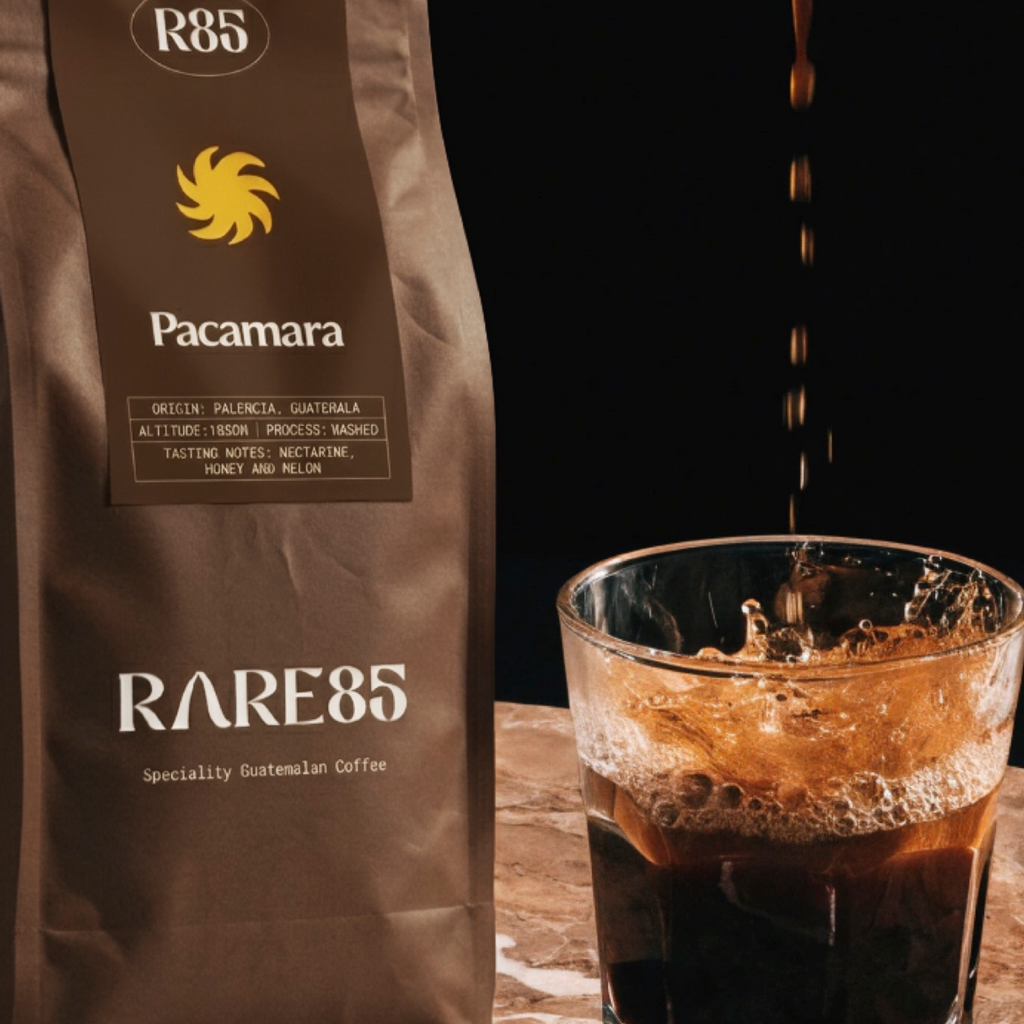 Pacamara