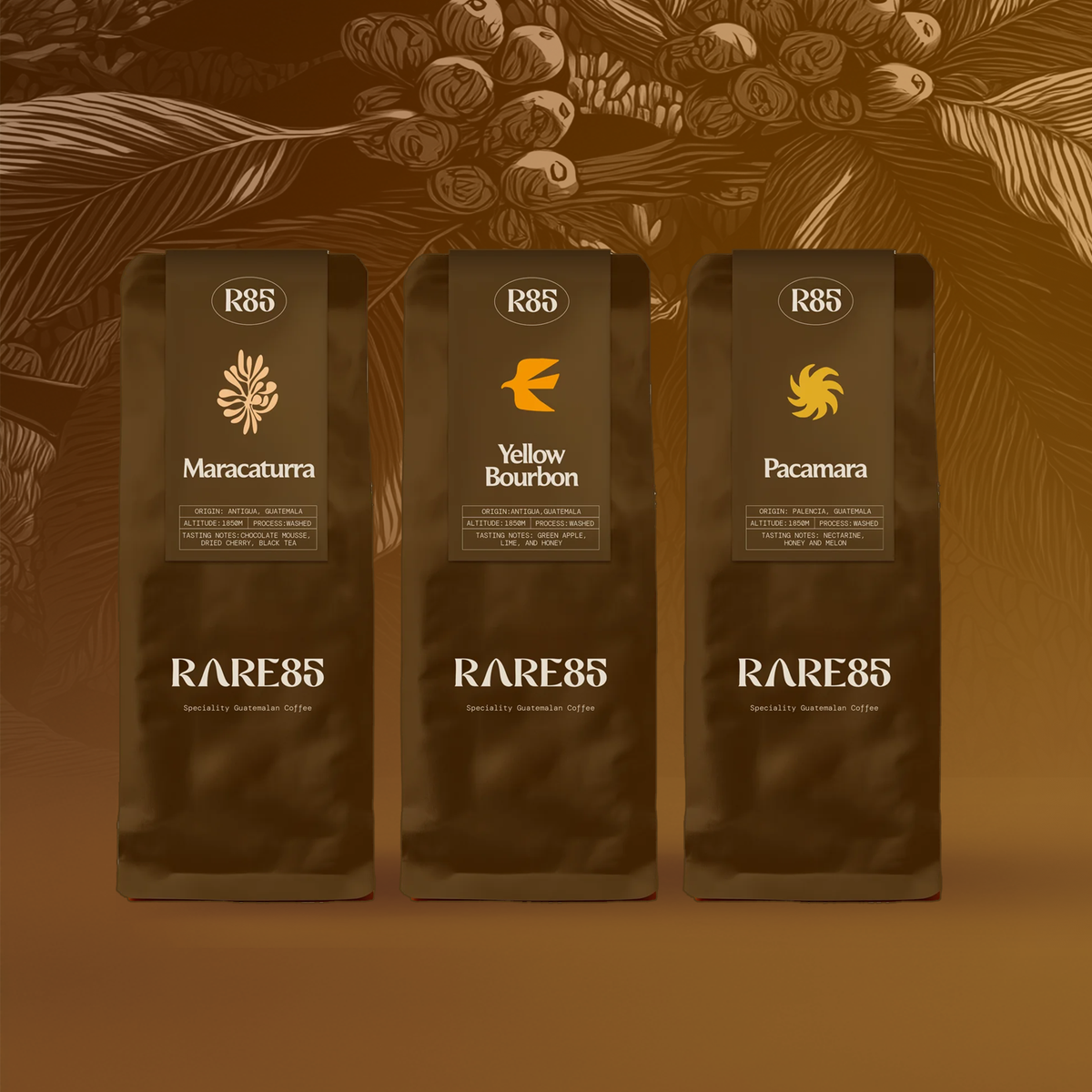Rare Collection – RARE85
